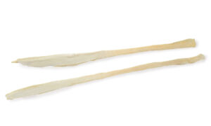Semitendinosus/Gracilis